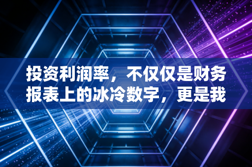 投资利润率，不仅仅是财务报表上的冰冷数字，更是我们每个人的人生算法