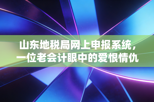 山东地税局网上申报系统,一位老会计眼中的爱恨情仇与实操攻略