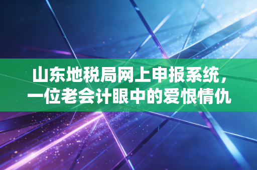 山东地税局网上申报系统，一位老会计眼中的爱恨情仇与实操攻略