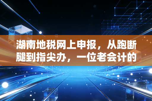 湖南地税网上申报，从跑断腿到指尖办，一位老会计的进阶之路