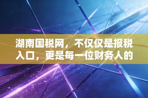 湖南国税网，不仅仅是报税入口，更是每一位财务人的数字军师