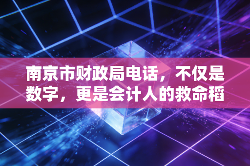 南京市财政局电话，不仅是数字，更是会计人的救命稻草