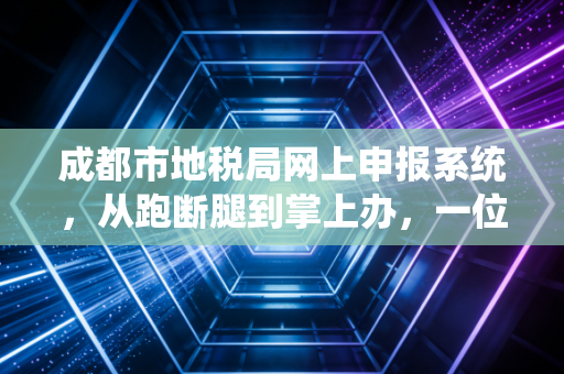 成都市地税局网上申报系统，从跑断腿到掌上办，一位资深CPA的进阶指南与肺腑之言