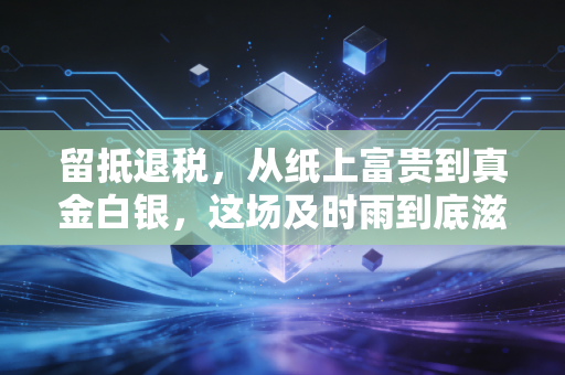 留抵退税，从纸上富贵到真金白银，这场及时雨到底滋润了谁？