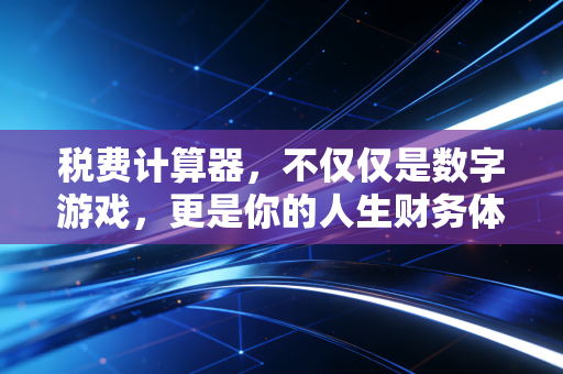 税费计算器,不仅仅是数字游戏,更是你的人生财务体检表