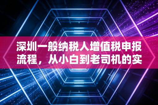 深圳一般纳税人增值税申报流程,从小白到老司机的实操指南与避坑心得