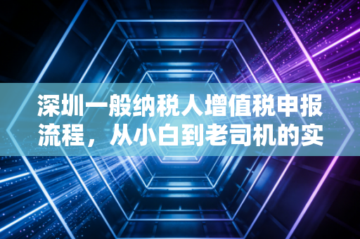 深圳一般纳税人增值税申报流程，从小白到老司机的实操指南与避坑心得