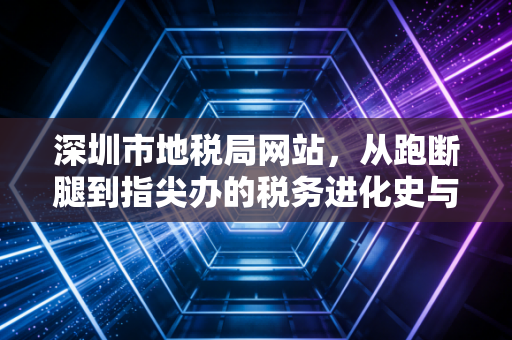 深圳市地税局网站，从跑断腿到指尖办的税务进化史与实操指南