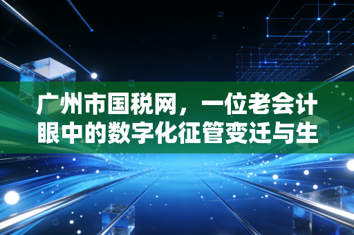 广州市国税网，一位老会计眼中的数字化征管变迁与生存智慧