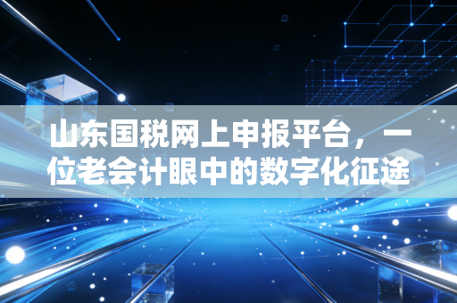 山东国税网上申报平台，一位老会计眼中的数字化征途与避坑指南
