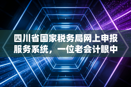 四川省国家税务局网上申报服务系统，一位老会计眼中的爱恨情仇与实操心得
