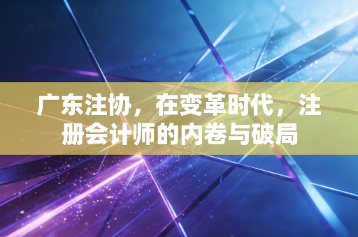 广东注协,在变革时代,注册会计师的内卷与破局