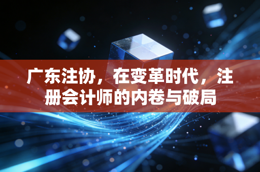 广东注协，在变革时代，注册会计师的内卷与破局