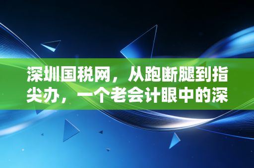 深圳国税网，从跑断腿到指尖办，一个老会计眼中的深圳税务变迁与数字化生存