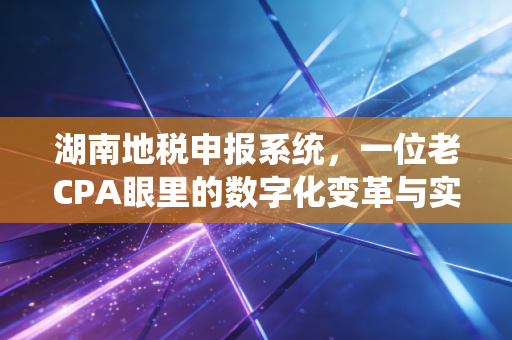 湖南地税申报系统,一位老CPA眼里的数字化变革与实操避坑指南