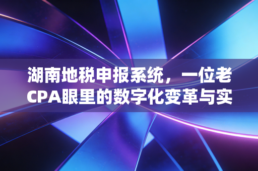 湖南地税申报系统，一位老CPA眼里的数字化变革与实操避坑指南