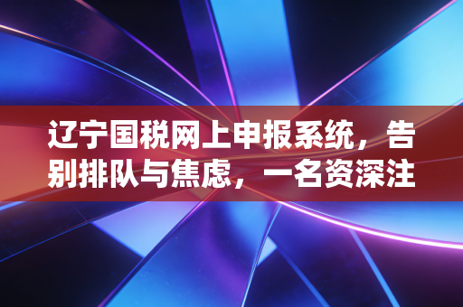 辽宁国税网上申报系统,告别排队与焦虑,一名资深注会眼中的数字化税务变迁
