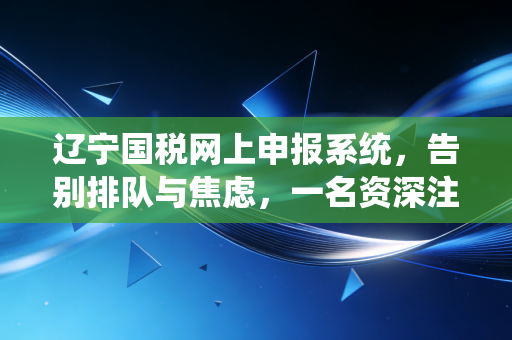 辽宁国税网上申报系统，告别排队与焦虑，一名资深注会眼中的数字化税务变迁