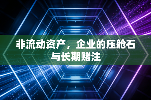 非流动资产，企业的压舱石与长期赌注