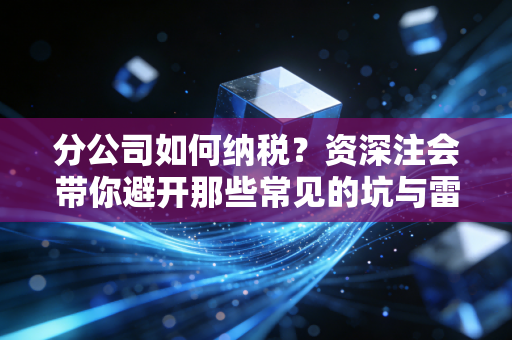 分公司如何纳税？资深注会带你避开那些常见的坑与雷