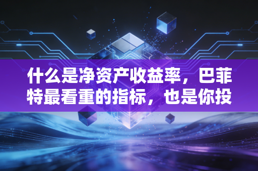 什么是净资产收益率,巴菲特最看重的指标,也是你投资赚钱的终极密码