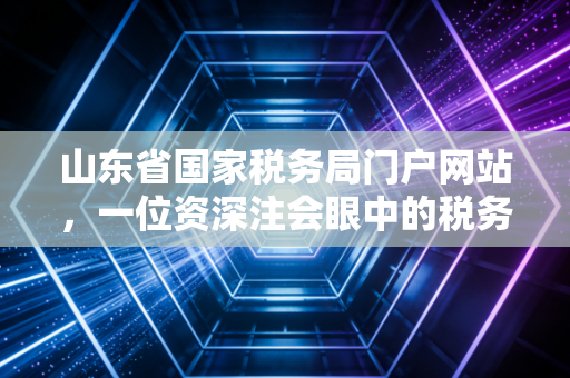 山东省国家税务局门户网站，一位资深注会眼中的税务数字化变迁与办税实战指南