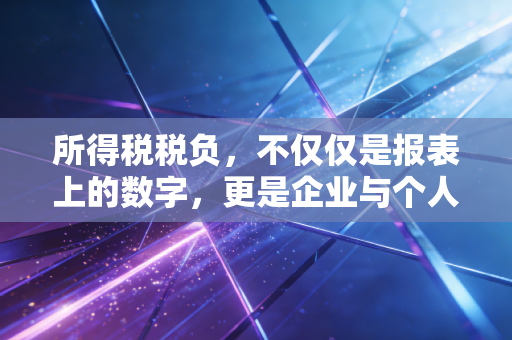 所得税税负，不仅仅是报表上的数字，更是企业与个人无法言说的痛与责