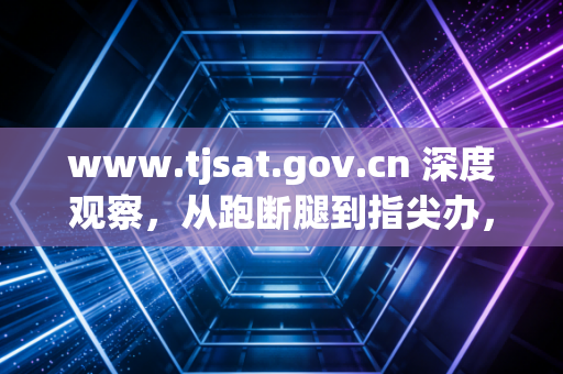 www.tjsat.gov.cn 深度观察,从跑断腿到指尖办,一名老CPA眼中的天津税务数字化变迁与行业思考