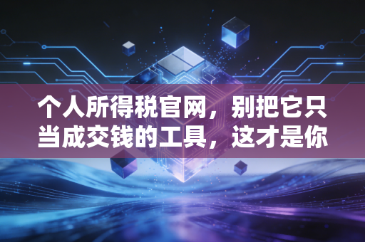个人所得税官网，别把它只当成交钱的工具，这才是你财富增值的秘密基地