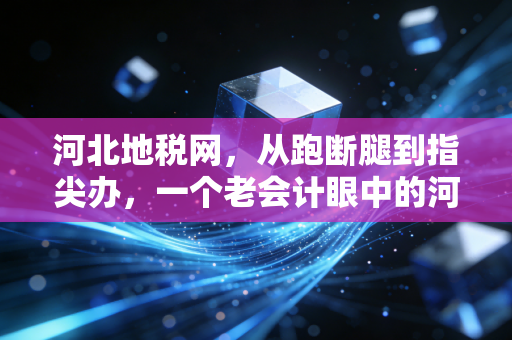 河北地税网,从跑断腿到指尖办,一个老会计眼中的河北税务变迁
