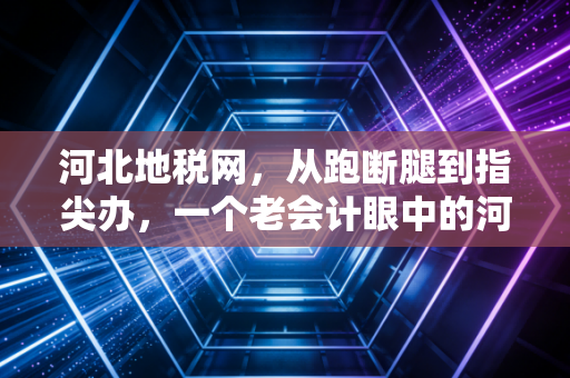 河北地税网，从跑断腿到指尖办，一个老会计眼中的河北税务变迁