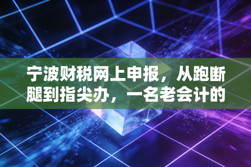 宁波财税网上申报，从跑断腿到指尖办，一名老会计的进阶与感悟