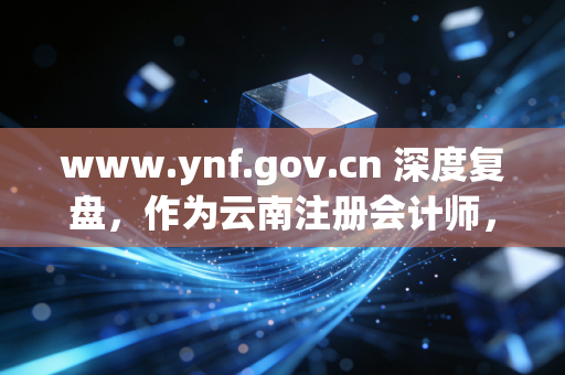 www.ynf.gov.cn 深度复盘,作为云南注册会计师,我们该如何读懂财政厅官网背后的职业密码?