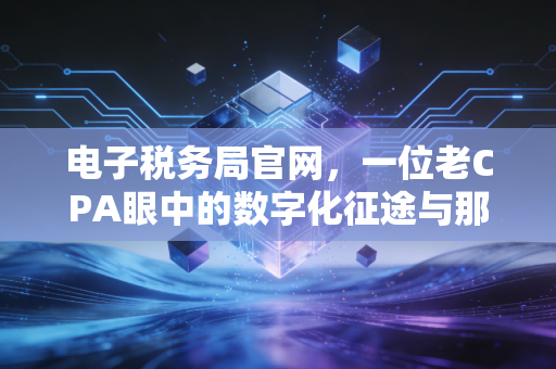 电子税务局官网,一位老CPA眼中的数字化征途与那些不得不说的坑