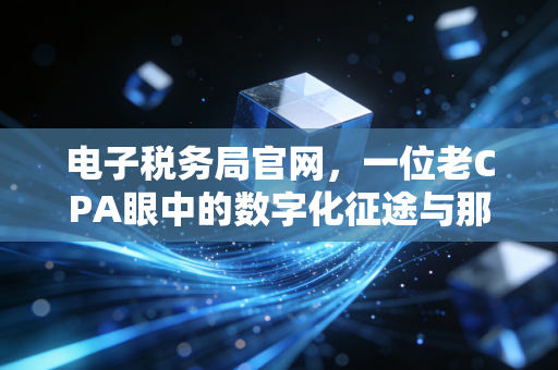 电子税务局官网，一位老CPA眼中的数字化征途与那些不得不说的坑