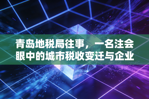 青岛地税局往事，一名注会眼中的城市税收变迁与企业生存法则