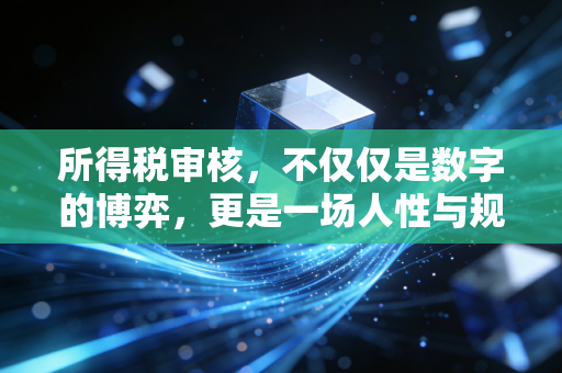 所得税审核，不仅仅是数字的博弈，更是一场人性与规则的深度对话