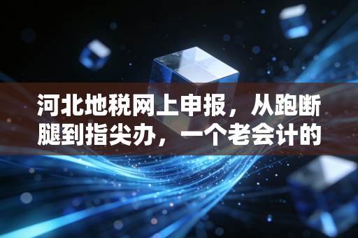 河北地税网上申报，从跑断腿到指尖办，一个老会计的肺腑之言