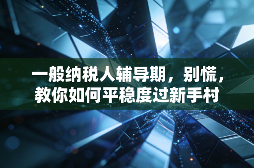 一般纳税人辅导期，别慌，教你如何平稳度过新手村