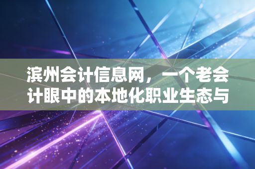 滨州会计信息网,一个老会计眼中的本地化职业生态与进阶之路