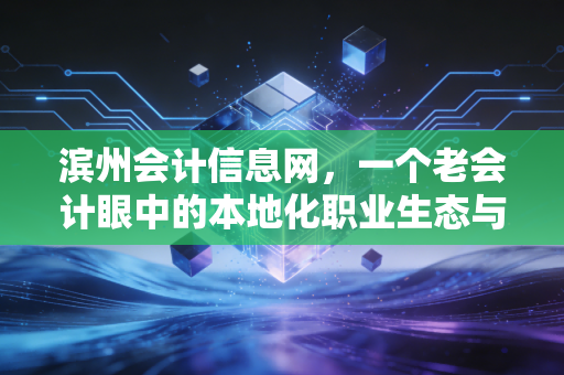 滨州会计信息网,一个老会计眼中的本地化职业生态与进阶之路