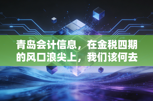 青岛会计信息,在金税四期的风口浪尖上,我们该何去何从?