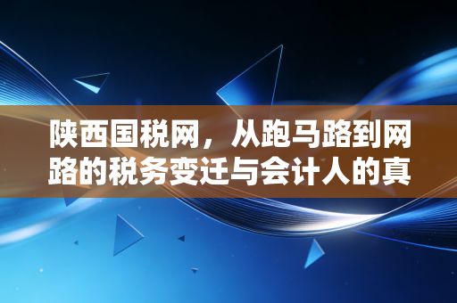 陕西国税网，从跑马路到网路的税务变迁与会计人的真实感悟