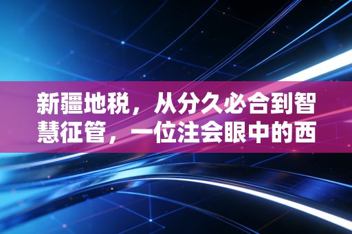 新疆地税，从分久必合到智慧征管，一位注会眼中的西域税事变迁