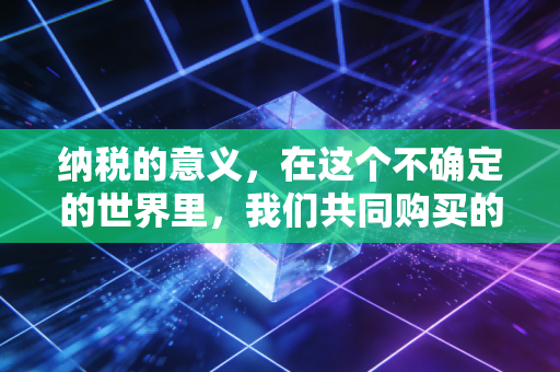 纳税的意义，在这个不确定的世界里，我们共同购买的安全感与未来