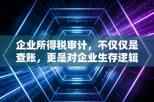 企业所得税审计，不仅仅是查账，更是对企业生存逻辑的深度体检
