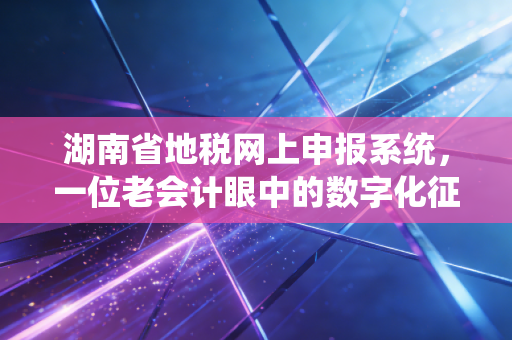 湖南省地税网上申报系统，一位老会计眼中的数字化征途与实战心得