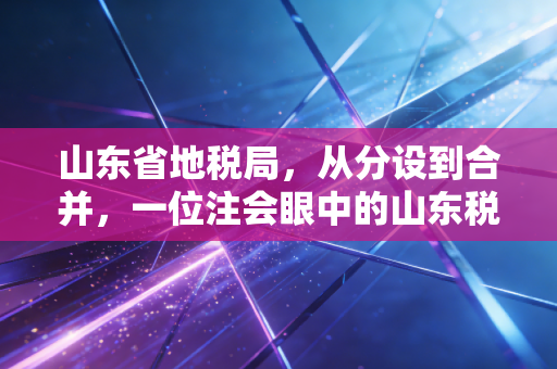 山东省地税局，从分设到合并，一位注会眼中的山东税务变迁史与营商环境的优化