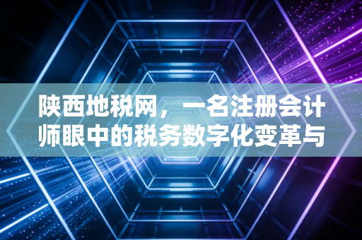 陕西地税网，一名注册会计师眼中的税务数字化变革与纳税服务升级