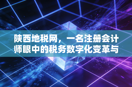 陕西地税网，一名注册会计师眼中的税务数字化变革与纳税服务升级